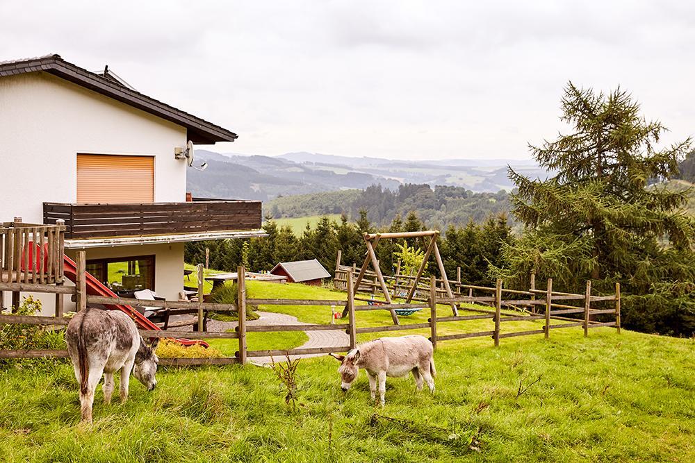 Pension Haus Am Einberg Meschede Zewnętrze zdjęcie